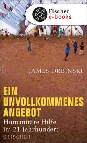 Cover of the book Ein unvollkommenes Angebot by Thomas Mann