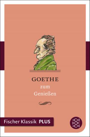 Cover of the book Goethe zum Genießen by Bernhard Finkbeiner, Hans-Jörg Brekle, Tabea Mußgnug