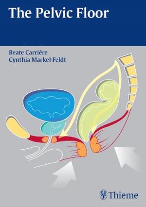 Cover of the book Pelvic Floor by Jean-Pierre Barral