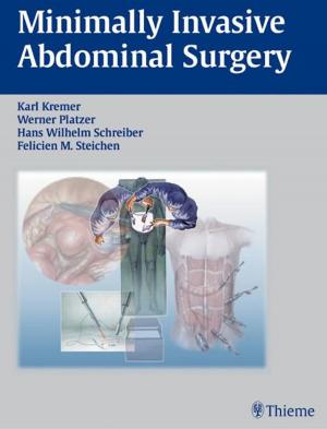 Cover of the book Minimally Invasive Abdominal Surgery by Torsten Bert Moeller, Emil Reif