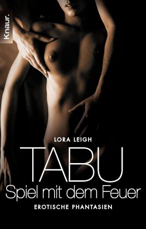 Cover of Tabu - Spiel mit dem Feuer
