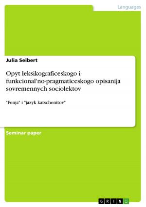 Cover of the book Opyt leksikograficeskogo i funkcional'no-pragmaticeskogo opisanija sovremennych sociolektov by Vanessa Buth