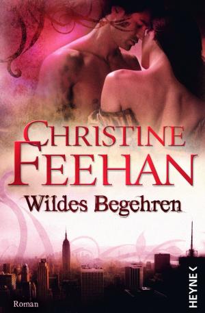 Book cover of Wildes Begehren