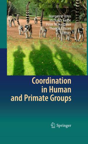 Cover of the book Coordination in Human and Primate Groups by Vasile Marinca, Nicolae Herisanu