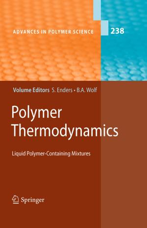 Cover of the book Polymer Thermodynamics by Joachim Heintze