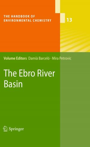 Cover of the book The Ebro River Basin by Ulrich C.H. Blum, Alexander Karmann, Marco Lehmann-Waffenschmidt, Marcel Thum, Klaus Wälde, Bernhard W. Wieland, Hans Wiesmeth