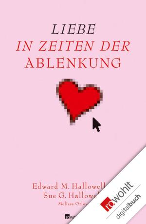 Cover of the book Liebe in Zeiten der Ablenkung by Sissi Flegel