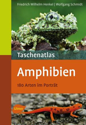 Cover of the book Taschenatlas Amphibien by Peter Hagen, Martin Haberer