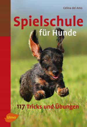 Cover of the book Spielschule für Hunde by Hildegard Jung, Dorothea Döring, Ulrike Falbesaner