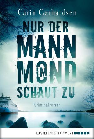 Cover of the book Nur der Mann im Mond schaut zu by Vincent Voss