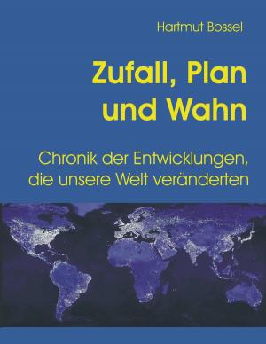Cover of the book Zufall, Plan und Wahn by Tim Sodermanns
