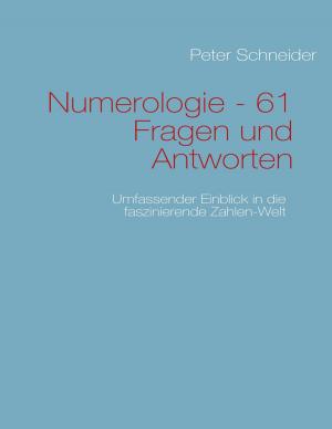 Cover of the book Numerologie - 61 Fragen und Antworten by Bodo Schulenburg, Elinor Weise