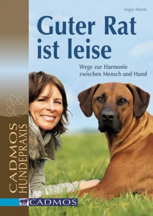 Book cover of Guter Rat ist leise