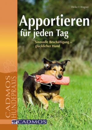 Cover of the book Apportieren für jeden Tag by Dr.Claudia Nichterl