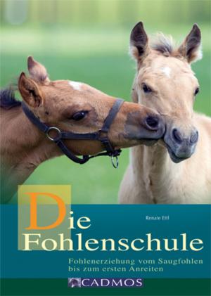 Book cover of Die Fohlenschule