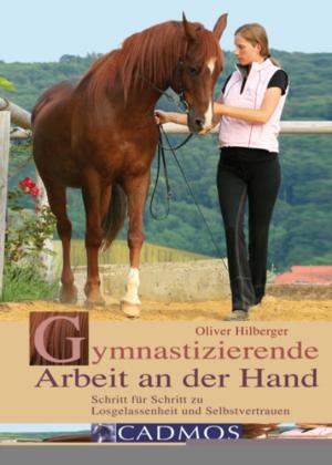 Cover of the book Gymnastizierende Arbeit an der Hand by Kerstin Mielke