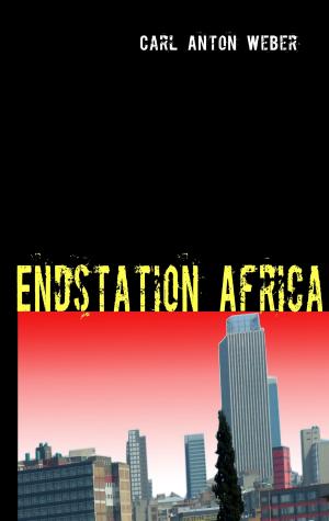 Cover of the book Endstation Africa by Dick de Jounge
