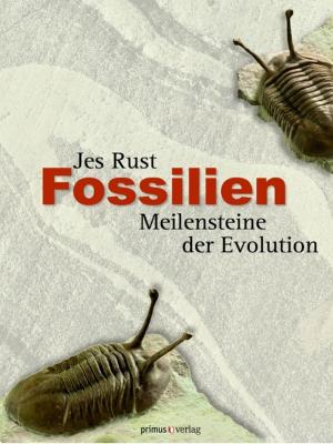Cover of the book Fossilien by Martin Cüppers