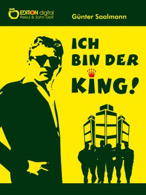 Cover of the book Ich bin der King by Julie Gilbert