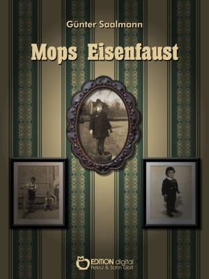 Cover of the book Mops Eisenfaust by Renate Krüger
