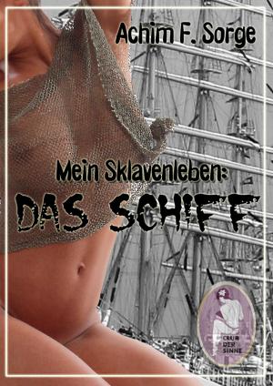 Cover of the book Mein Sklavenleben: Das Schiff by Anne Nimm