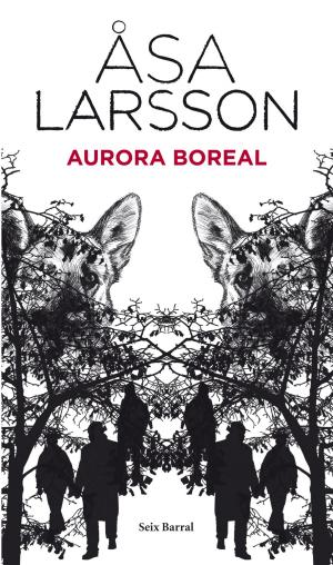 Cover of the book Aurora boreal by Cristina Quiñones
