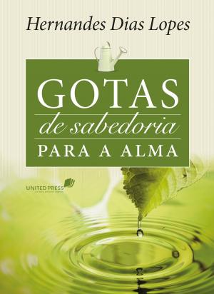 Book cover of Gotas de sabedoria para a alma