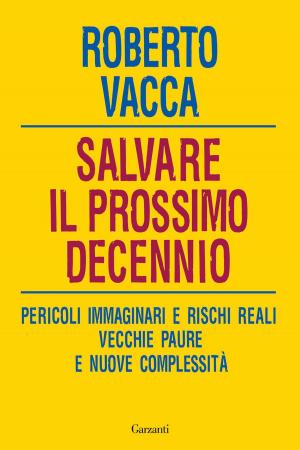 Cover of the book Salvare il prossimo decennio by Antonella Frontani