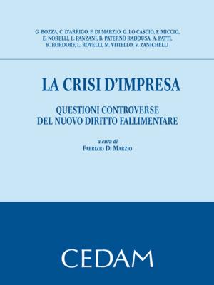 Cover of the book La crisi d'impresa by Paolo Cendon