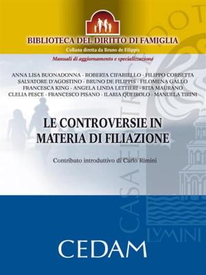 Cover of the book Le controversie in materia di filiazione by Emilio Vito Napoli