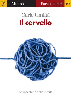 Cover of the book Il cervello by Andrea, Stracciari