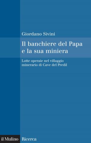 Cover of the book Il banchiere del Papa e la sua miniera by Gianluca, Passarelli, Dario, Tuorto