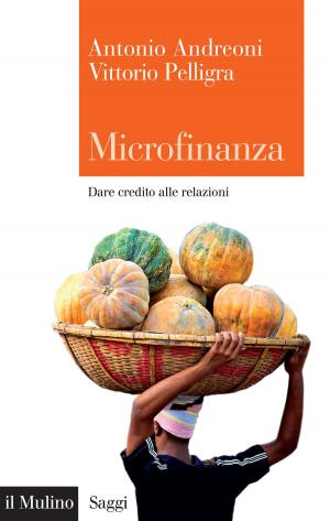 Cover of the book Microfinanza by Giovanni Andrea, Fava, Elena, Tomba