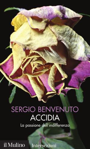 Cover of the book Accidia by Luigi, Fadiga
