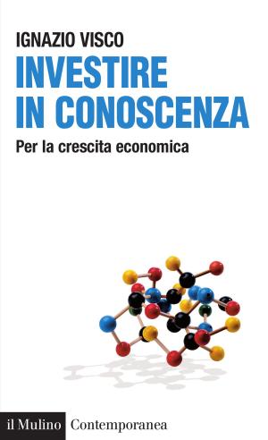 Cover of the book Investire in conoscenza by Luigi, Blasucci