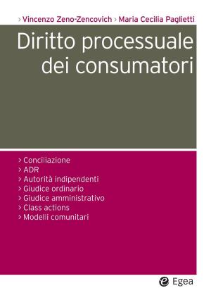 Book cover of Diritto processuale dei consumatori