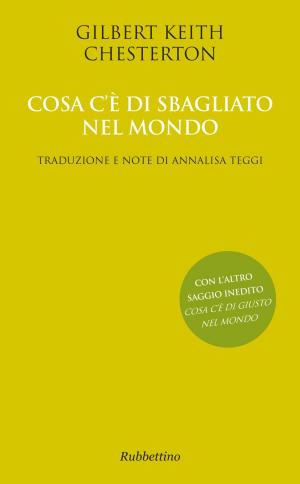 Cover of the book Cosa c’è di sbagliato nel mondo by Mariacristina Gribaudi, Adriano Moraglio