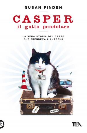 Book cover of Casper il gatto pendolare