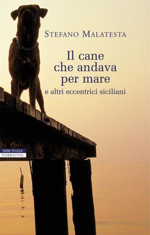 Book cover of Il cane che andava per mare