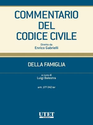 Cover of the book Commentario del Codice civile- Della famiglia- artt. 177-342 ter by Lorenzo del Boca