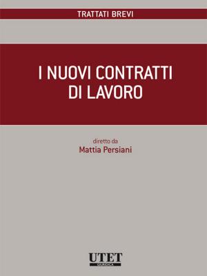 Cover of the book I nuovi contratti di lavoro by Antonio Jannarelli, Francesco Macario