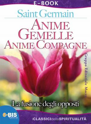 Cover of the book Anime gemelle, anime compagne by Enrico  Garzotto, Davide Francesco  Sada