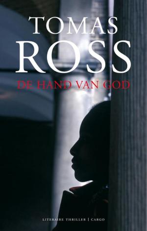 Cover of the book De hand van God by Stefan Hertmans