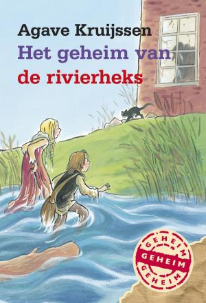Cover of the book Het geheim van de rivierheks by Johan Fabricius