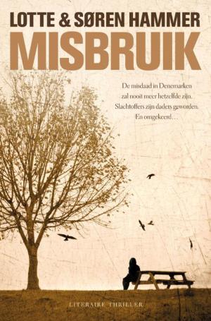 Cover of the book Misbruik by Sascha Arango