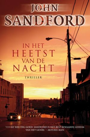 Cover of the book In het heetst van de nacht by Jens Lapidus