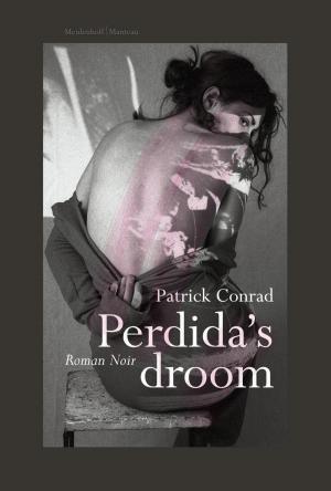 Cover of the book Perdida's droom by Yrsa Sigurdardottir