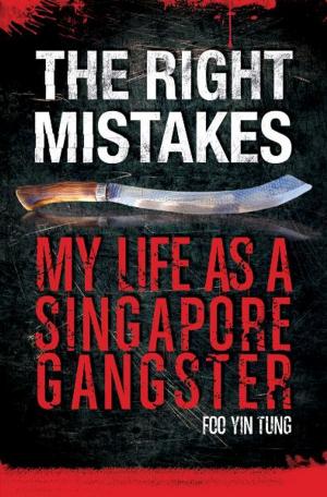 Book cover of The Right Mistakes