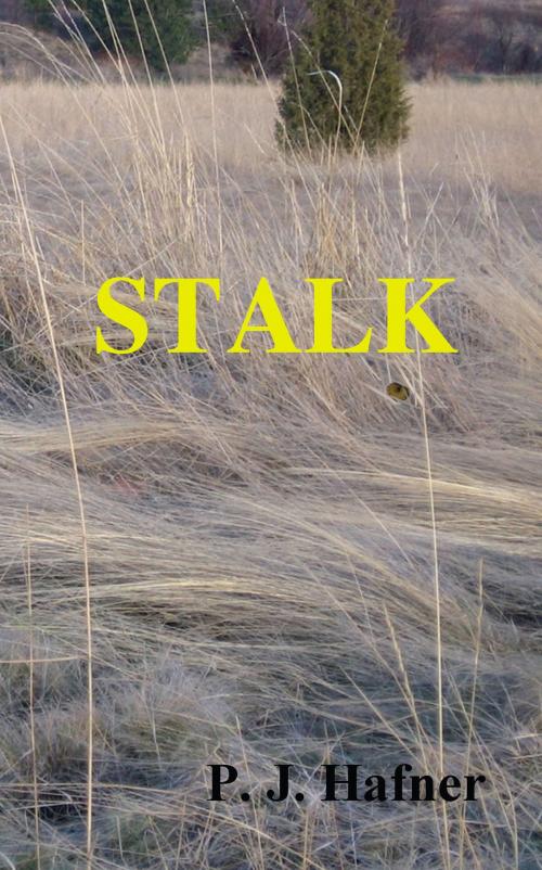Cover of the book Stalk by P.J. Hafner, Birchbark Publishing