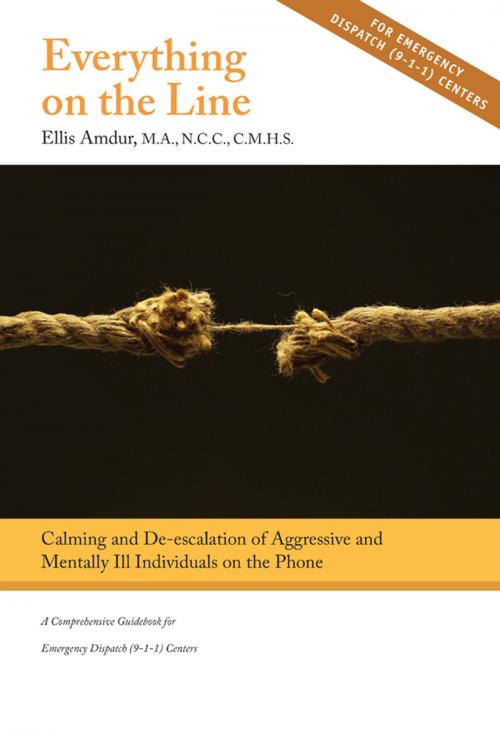 Cover of the book Everything on the Line: by Ellis Amdur, Edgework Books
